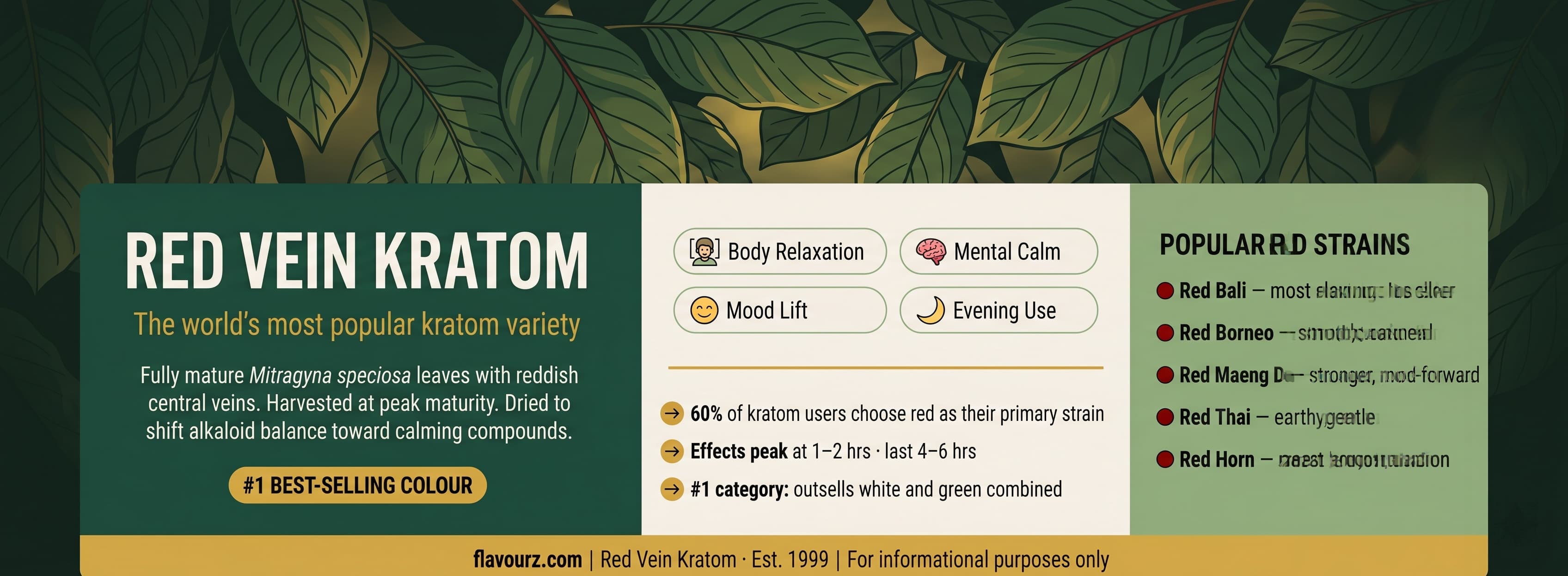 infographic for What Is Red Vein Kratom